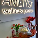 Appart hôtel Ametyst