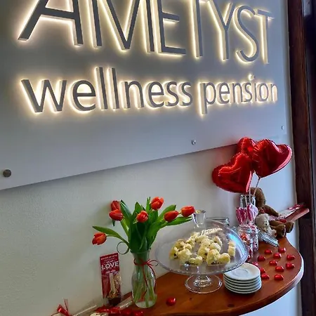Lejlighedshotel Ametyst Pension & Wellness